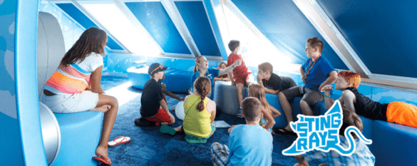 Carnival Cruise Lines Carnival Celebration Camp Ocean.png